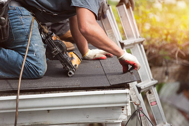 Roof Gutter Cleaning in Billings, MT