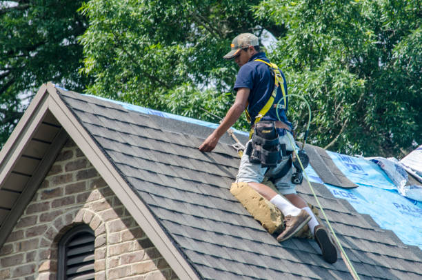 Best Emergency Roof Repair  in Billings, MT